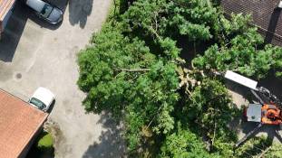 dji_fly_20250613_105738_0_1749805058619_photo_low_quality_original