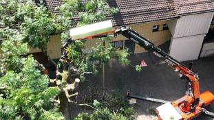 dji_fly_20250613_105944_0_1749805184281_photo_low_quality_original