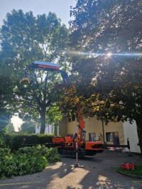 Umbau, Gartenholzerei